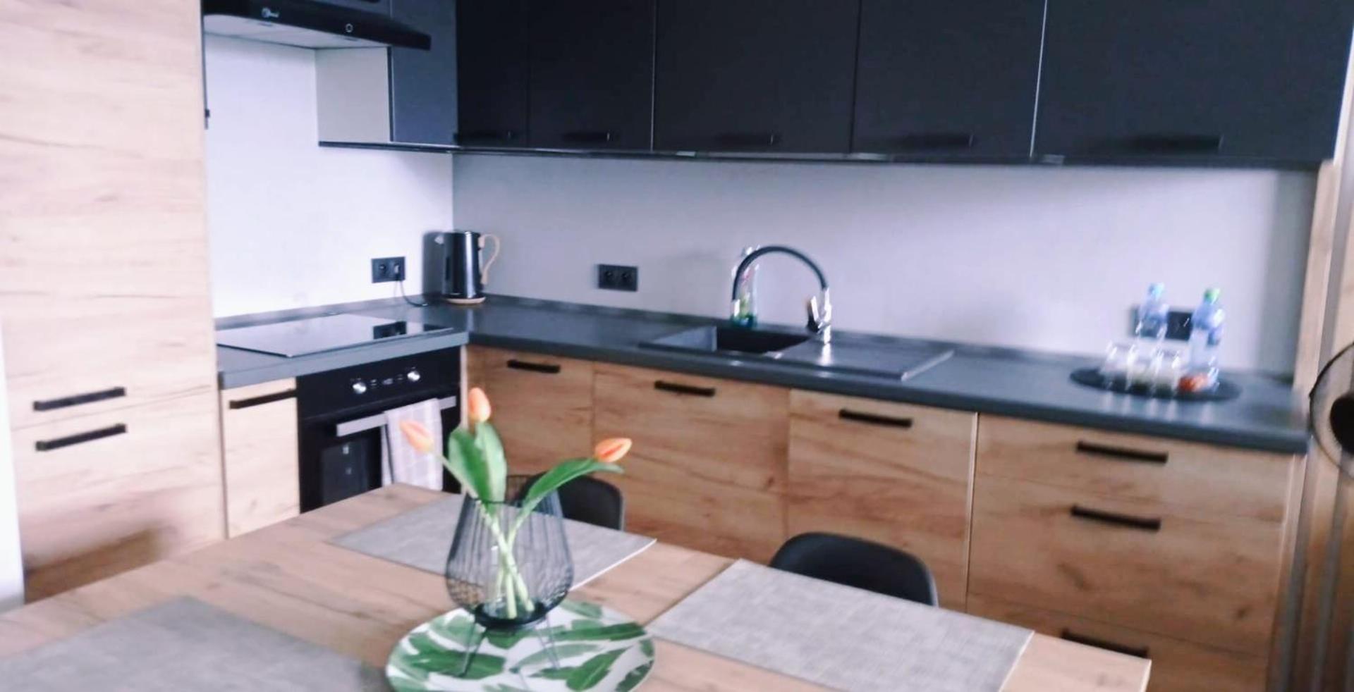 Apartament 10 普沃茨克 客房 照片